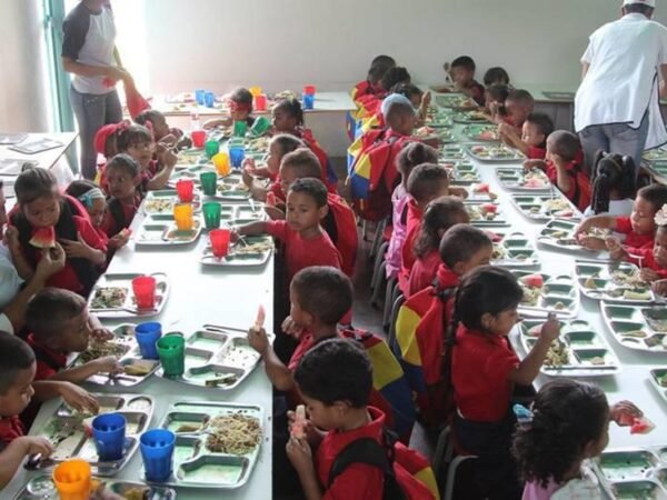 Solo 29% de escolares recibe comida diaria del PAE, según Encovi