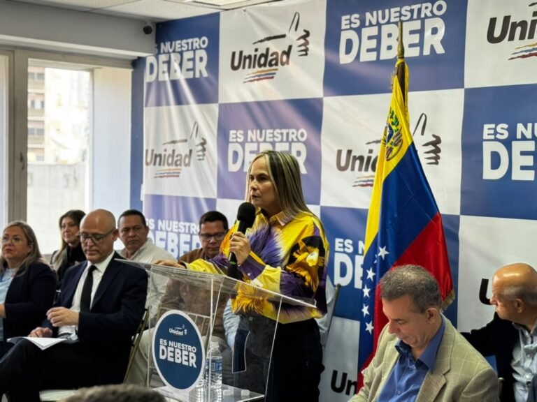 Martínez: elecciones requieren instituciones independientes